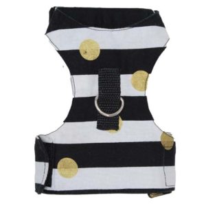 Black and White Striped Dotted in Gold Cat Harness